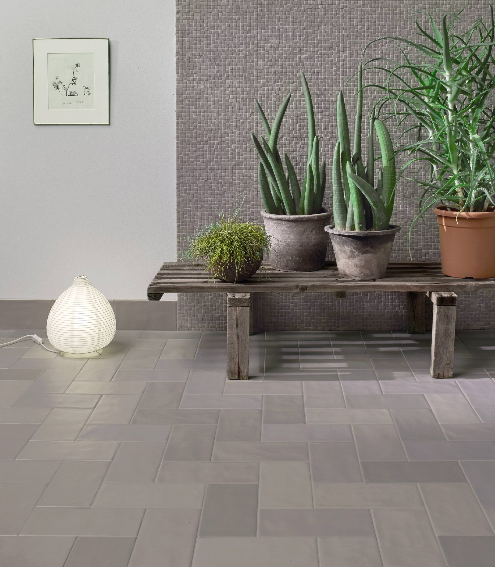 41Zero42 Gap Collection