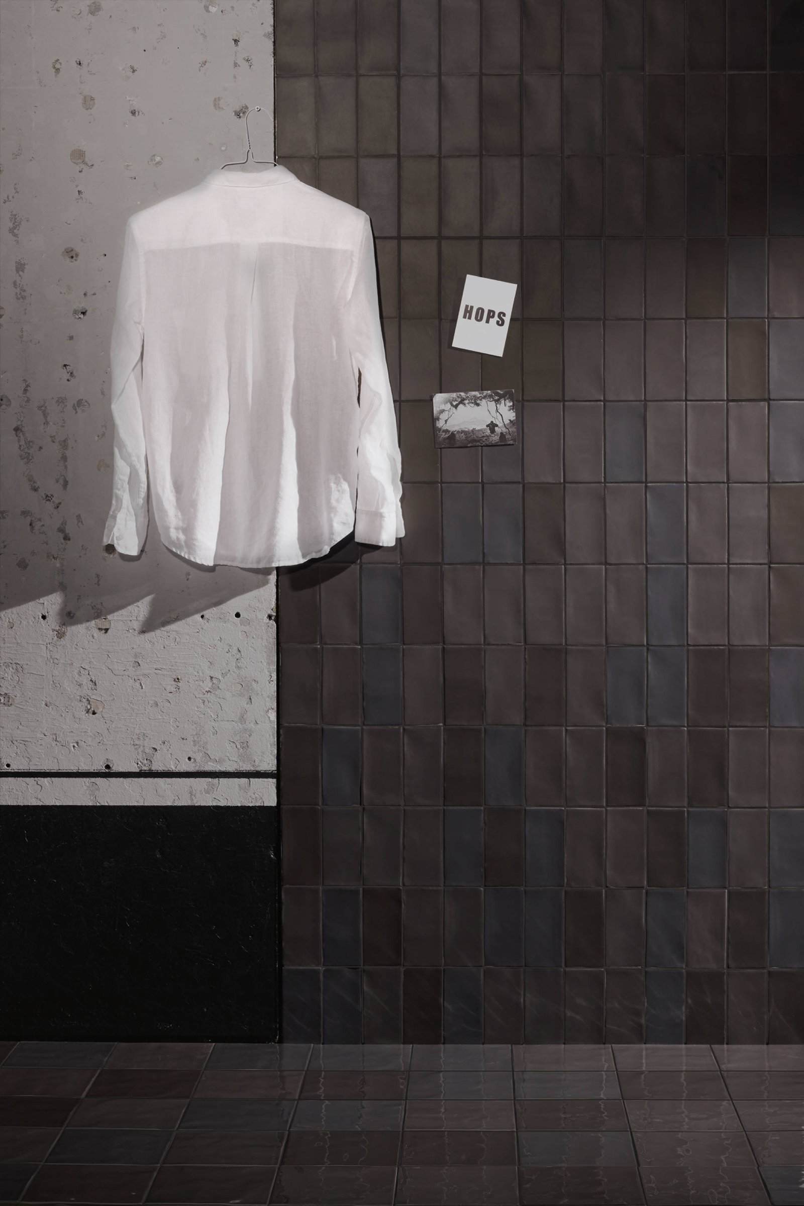 41Zero42 Hops Collection