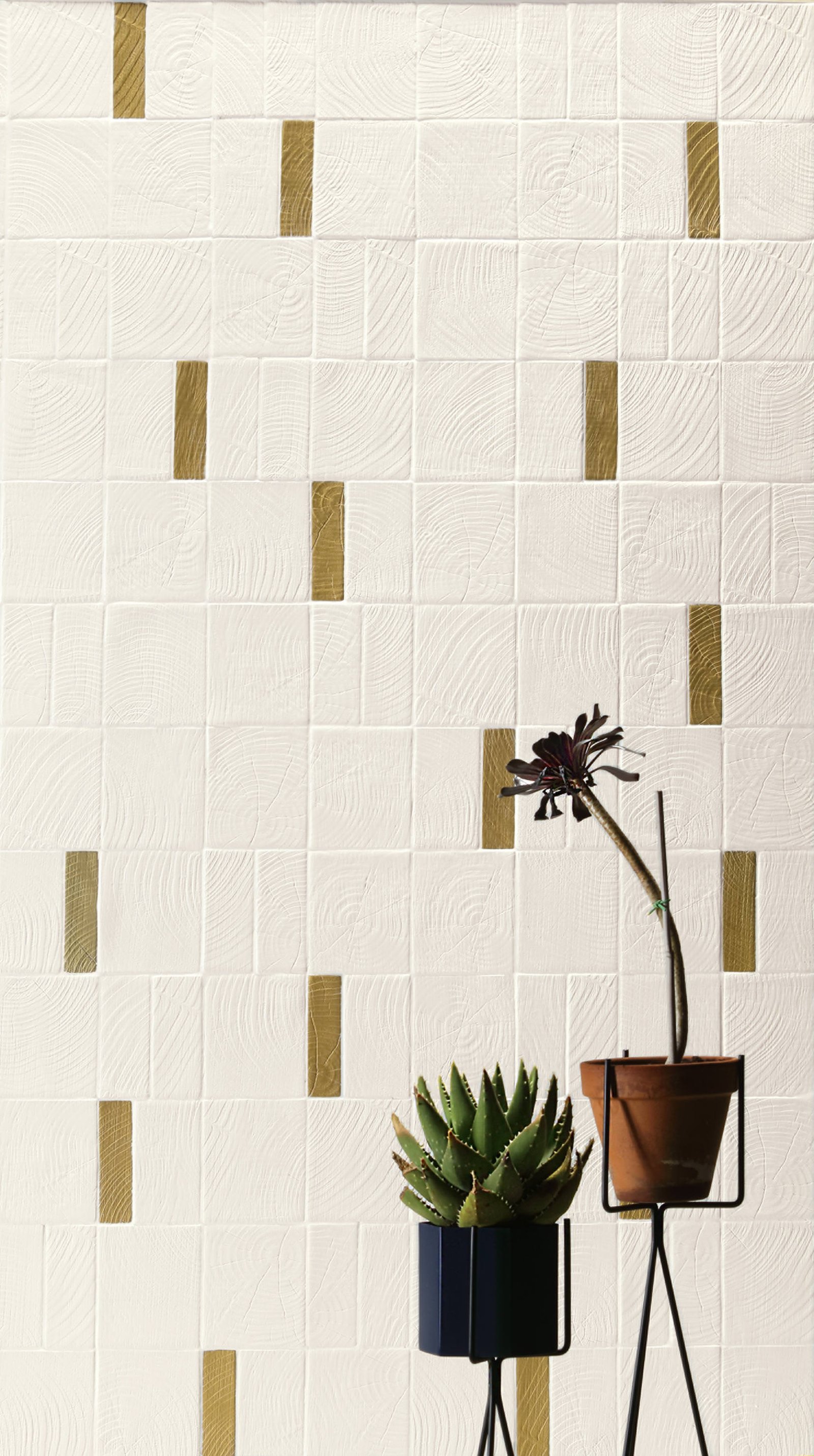 41Zero42 Loop Collection