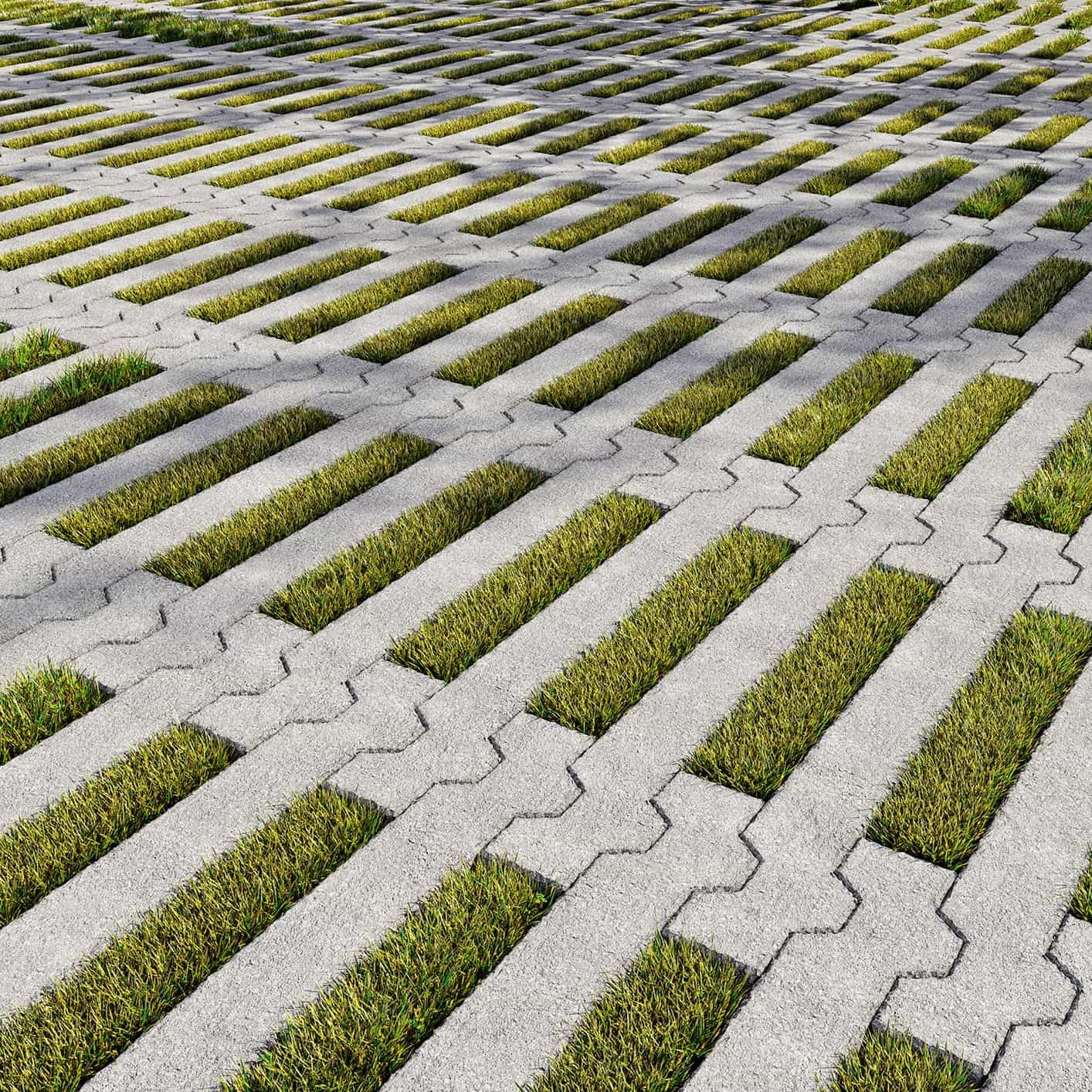 ACL Grass Cover Grids