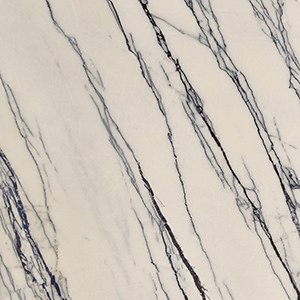 Gardenia Orchidea La Marmoteca Pearl Deluxe